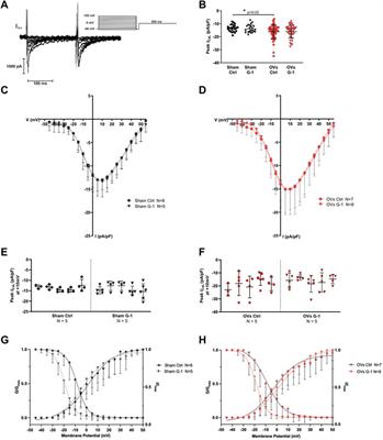 GPER limits adverse changes to Ca2+ signalling and arrhythmogenic activity in ovariectomised guinea pig cardiomyocytes